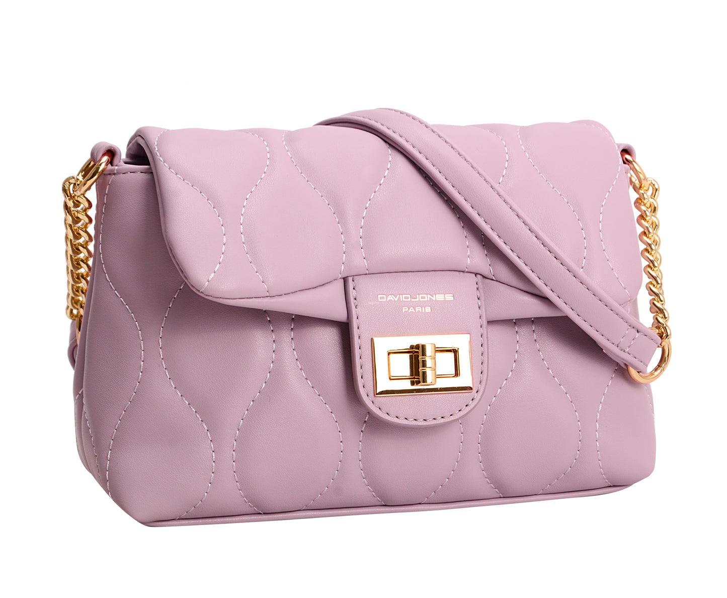 David Jones CM6700B handbag