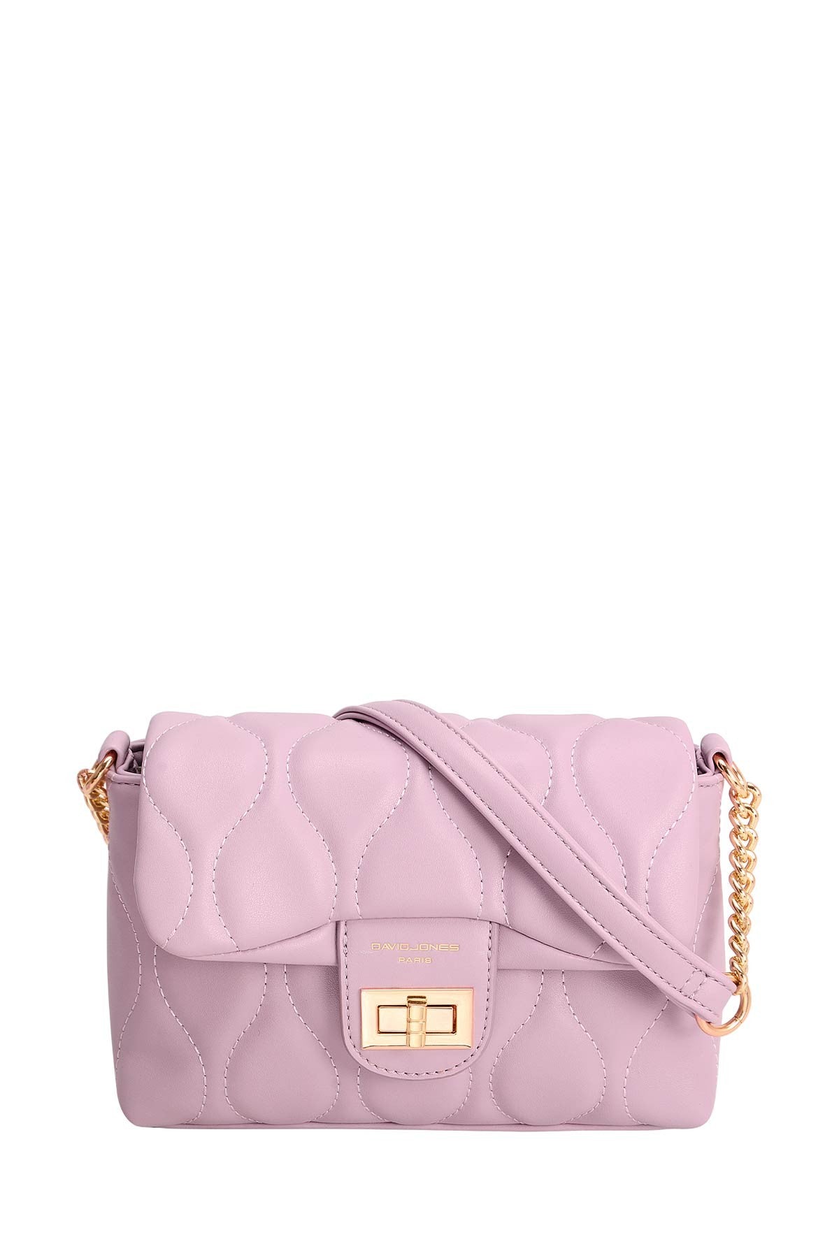 David Jones CM6700B handbag