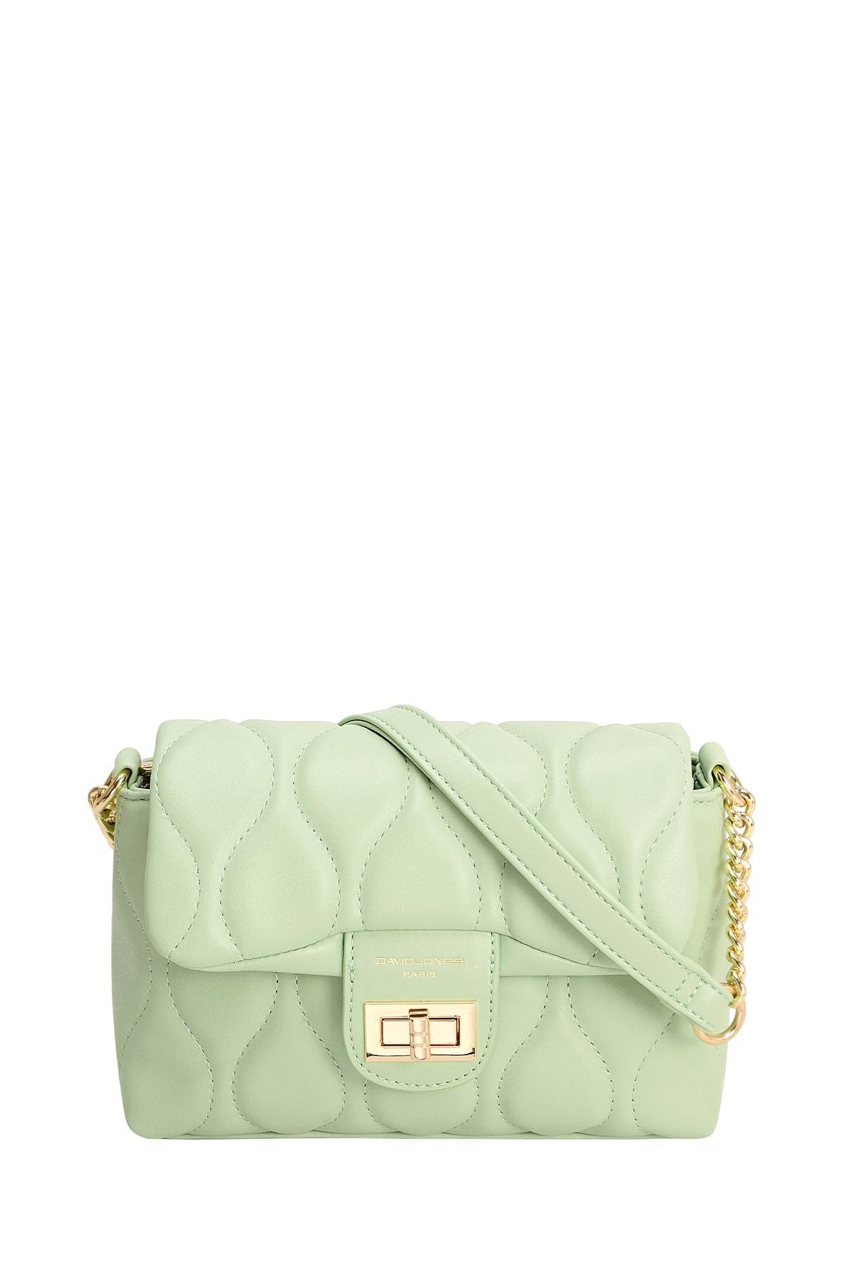 David Jones CM6700B handbag