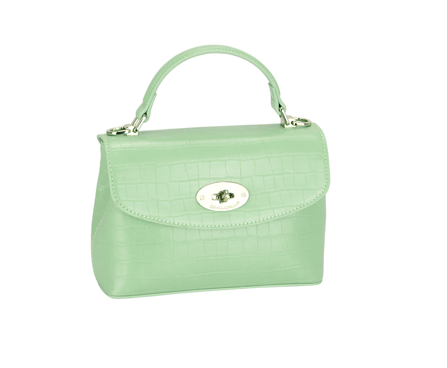 David Jones CM6951 hand bag