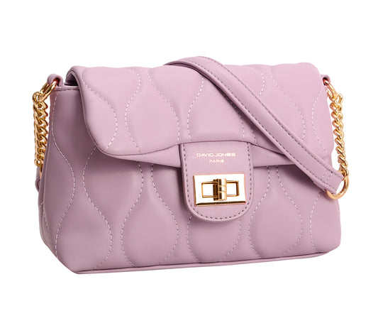 David Jones CM6700B handbag