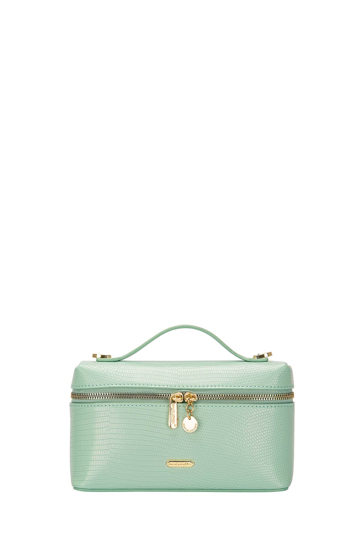 David Jones CM6954 hand bag