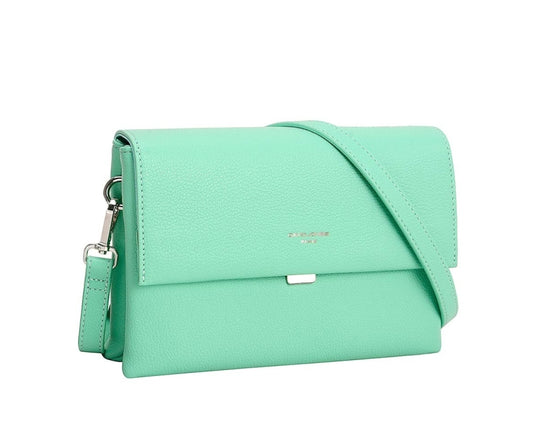 David Jones CM6919 handbag